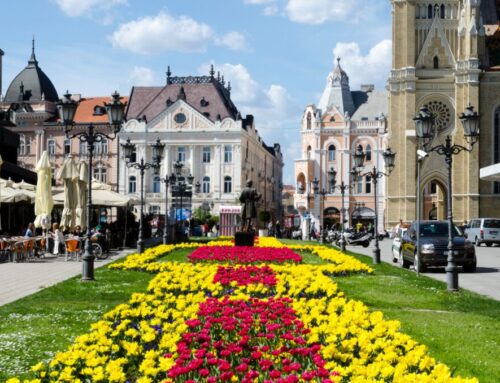 Transnational project meeting in Novi Sad (Serbia)